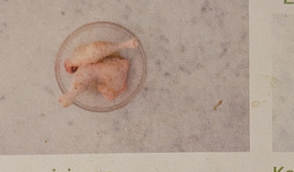 Step: Wash vegetables and herbs thoroughly. Wash chicken...