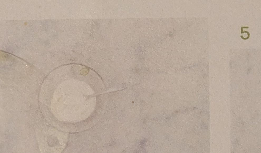 Step: Frischkäse und Gewürzmischung "Hello Muskat" mit...